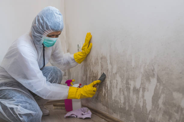 Best Biohazard Mold Removal  in Clarksville, IA