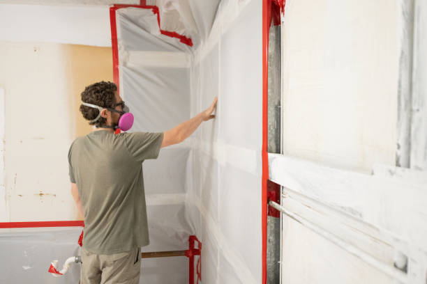 Best Post-Construction Mold Inspection  in Clarksville, IA