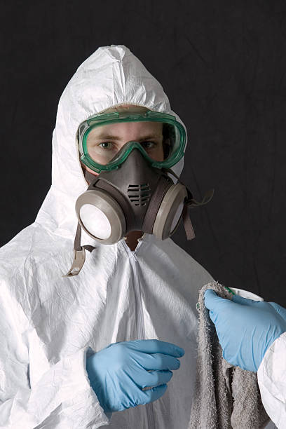 Best Mold Removal for HVAC Installations  in Clarksville, IA
